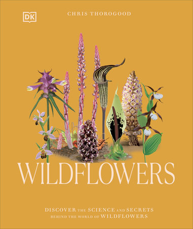 Wildflowers by Dr Chris Thorogood