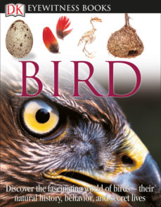 DK Eyewitness Books: Bird