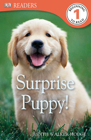 DK Readers L1: Surprise Puppy by Judith Walker-Hodge