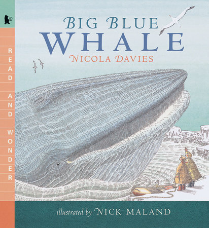 Big Blue Whale by Nicola Davies