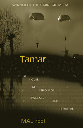 Tamar by Mal Peet