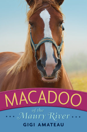 Macadoo: Horses of the Maury River Stables by Gigi Amateau