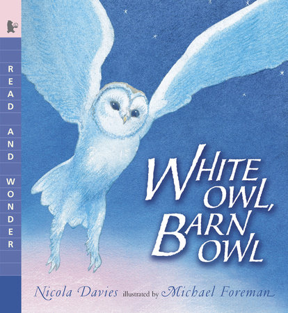 White Owl, Barn Owl with Audio, Peggable by Nicola Davies