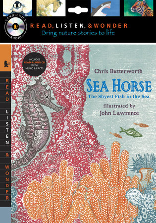 Sea Horse with Audio, Peggable by Chris Butterworth