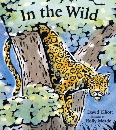 In the Wild by David Elliott