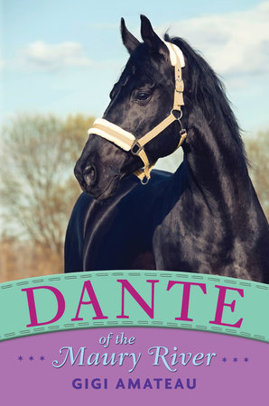 Dante: Horses of the Maury River Stables by Gigi Amateau