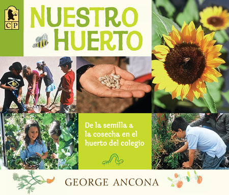 Nuestro huerto by George Ancona