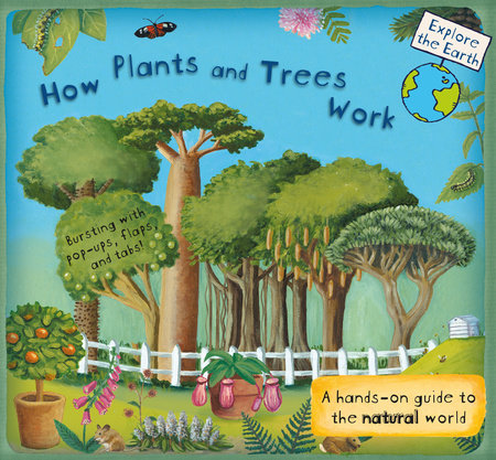 How Plants and Trees Work by Christiane Dorion