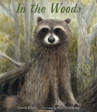 In the Woods by David Elliott