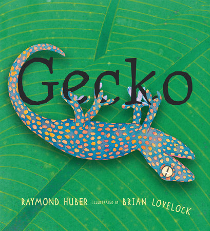 Gecko by Raymond Huber