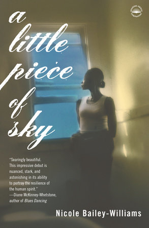 A Little Piece of Sky by Nicole Bailey Williams