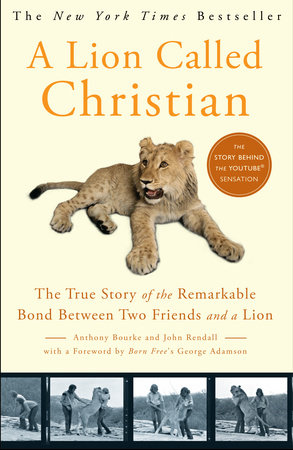 A Lion Called Christian by Anthony Bourke and John Rendall