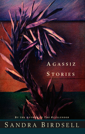 Agassiz Stories by Sandra Birdsell