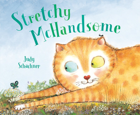 Stretchy McHandsome by Judy Schachner