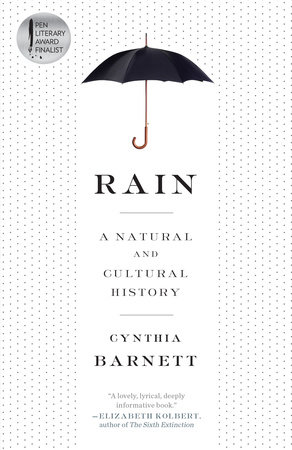 Rain by Cynthia Barnett