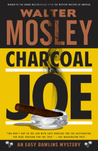 Charcoal Joe