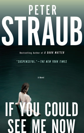 If You Could See Me Now by Peter Straub