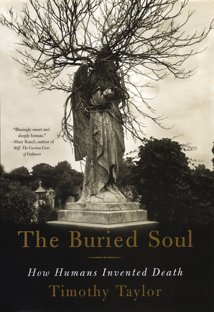 The Buried Soul by Timothy Taylor