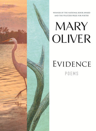 Evidence by Mary Oliver