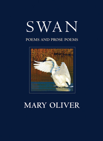 Swan by Mary Oliver