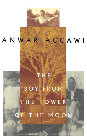 The Boy from the Tower of the Moon by Anwar Accawi