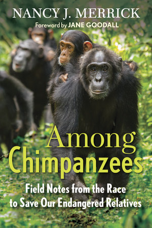 Among Chimpanzees by Nancy J. Merrick