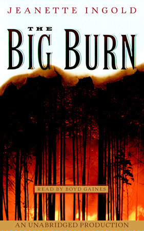 The Big Burn by Jeanne Ingold