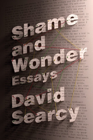 Shame and Wonder by David Searcy