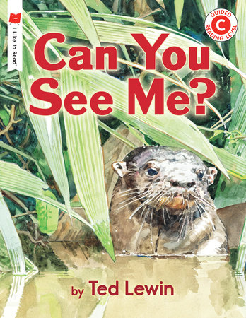 Can You See Me? by Ted Lewin