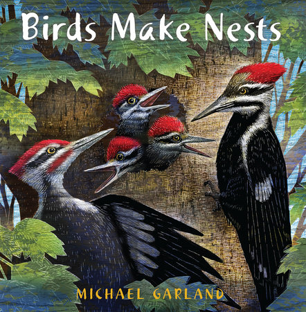 Birds Make Nests by Michael Garland