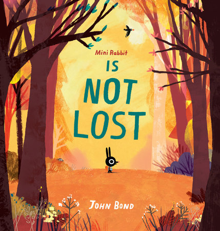 Mini Rabbit Is Not Lost by John Bond