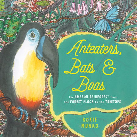 Anteaters, Bats & Boas by Roxie Munro