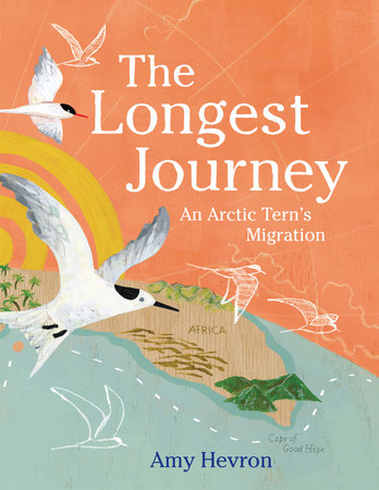 The Longest Journey by Amy Hevron