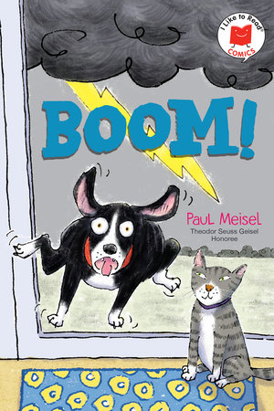Boom! by Paul Meisel