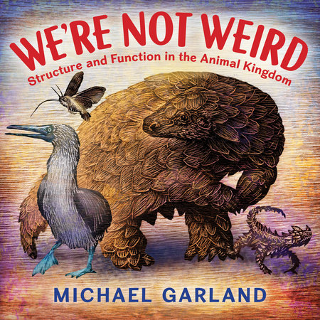 We're Not Weird by Michael Garland