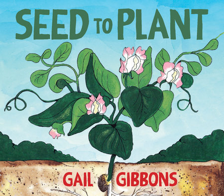 Seed to Plant by Gail Gibbons