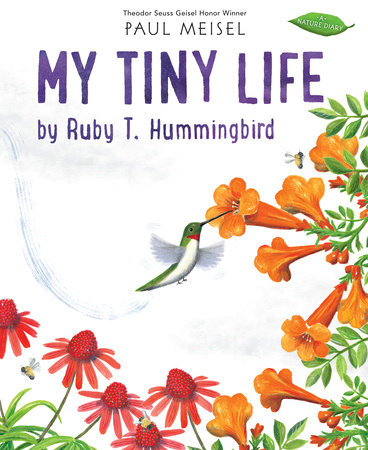 My Tiny Life by Ruby T. Hummingbird by Written & illustrated by Paul Meisel