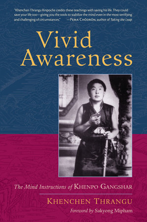 Vivid Awareness by Khenchen Thrangu