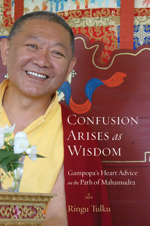 Confusion Arises as Wisdom by Ringu Tulku