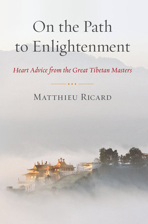 On the Path to Enlightenment by Matthieu Ricard