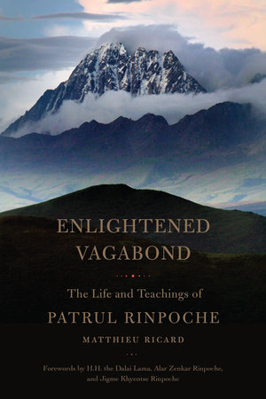 Enlightened Vagabond by Matthieu Ricard