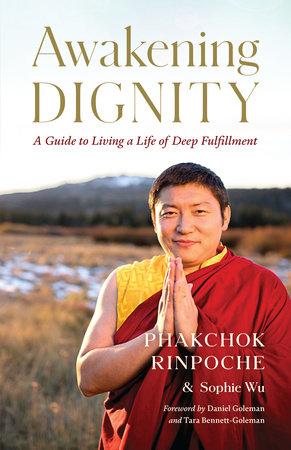Awakening Dignity by Phakchok Rinpoche and Sophie Wu