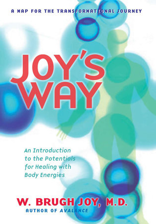 Joy's Way, a Map for the Transformational Journey by W. Brugh Joy