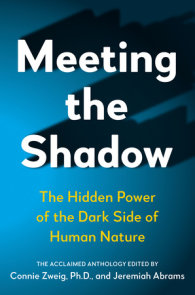 Meeting the Shadow