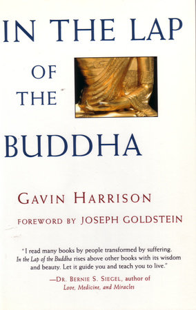 In the Lap of the Buddha by Gavin Harrison