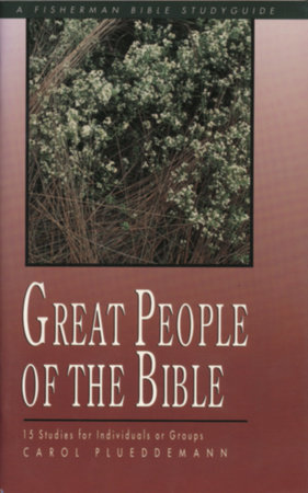 Great People of the Bible by Carol Plueddemann