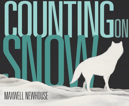 Counting on Snow by Maxwell Newhouse
