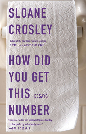 How Did You Get This Number by Sloane Crosley