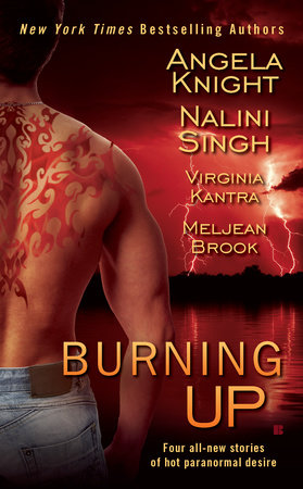 Burning Up by Angela Knight, Nalini Singh, Virginia Kantra and Meljean Brook