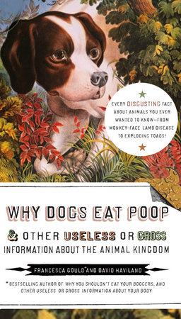 Why Dogs Eat Poop, and Other Useless or Gross Information About the Animal Kingdom by Francesca Gould and David Haviland